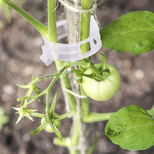 🔥Last Day 49% OFF☘️Plant Support Clips🌙