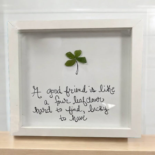 🌊🌊Friendship Sea Glass