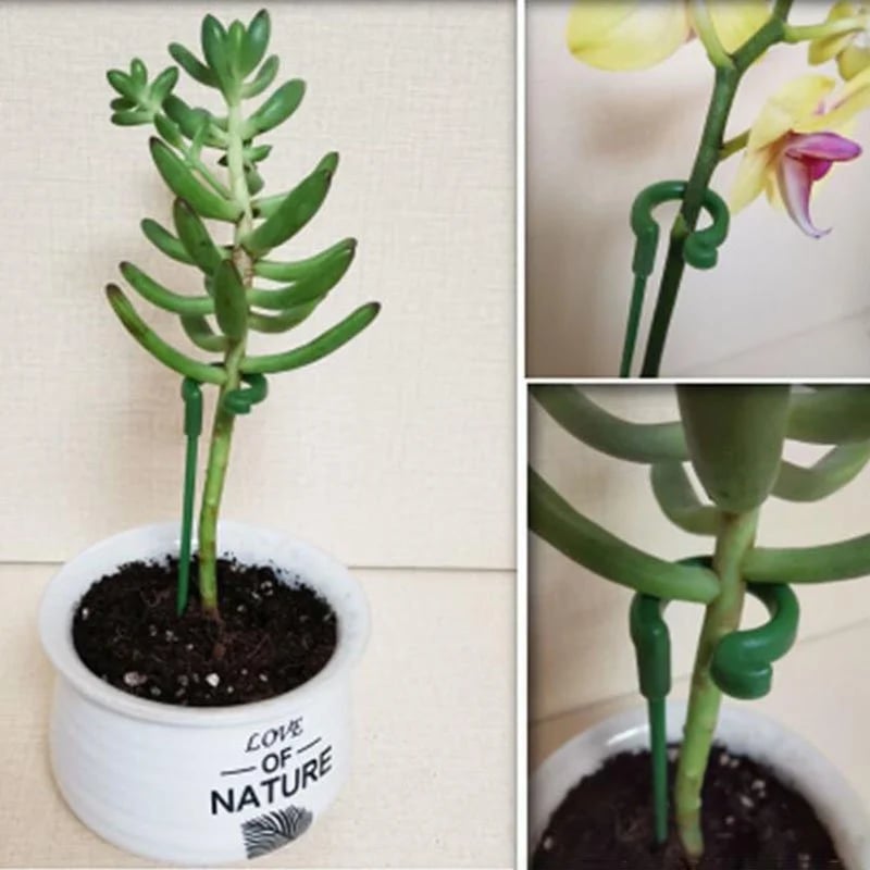 [🎉Summer Sale]  Upgrade Fiberglass Plant Support Stake