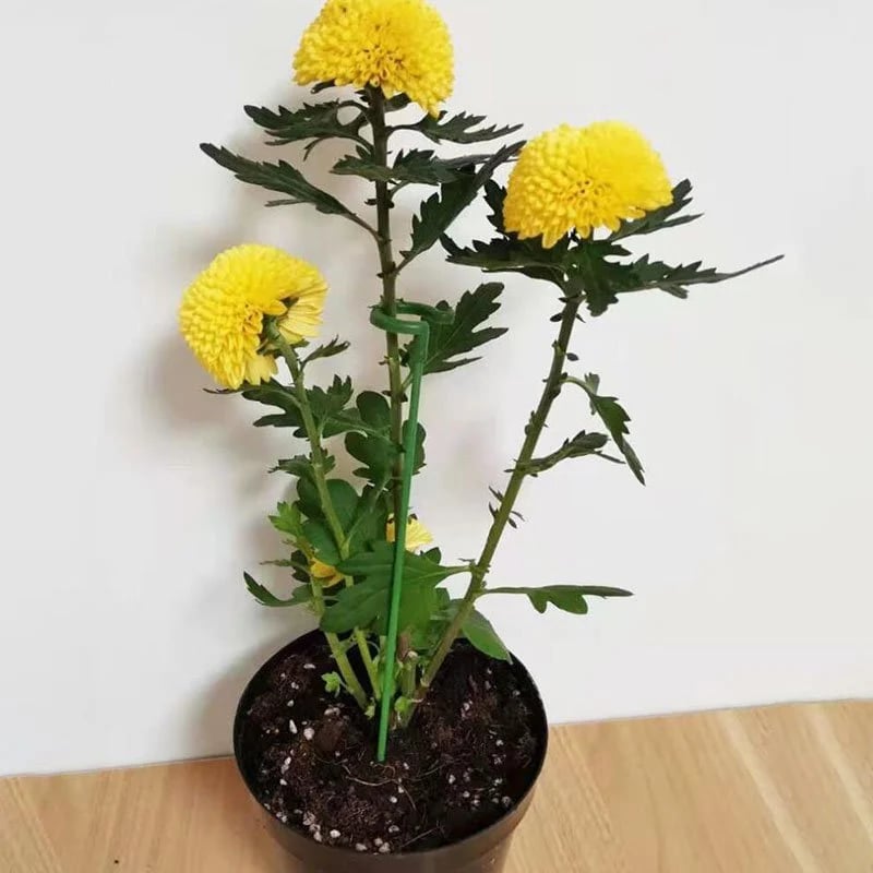 [🎉Summer Sale]  Upgrade Fiberglass Plant Support Stake