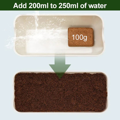 BUY 1 GET 1 FREE✨ - Organic Coconut Coir for Plants