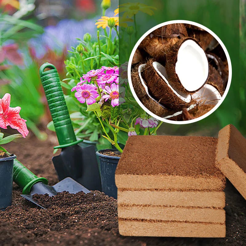 BUY 1 GET 1 FREE✨ - Organic Coconut Coir for Plants