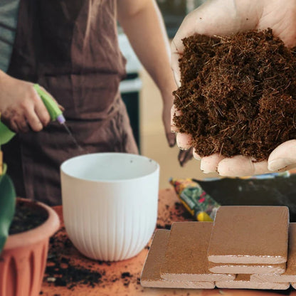 BUY 1 GET 1 FREE✨ - Organic Coconut Coir for Plants
