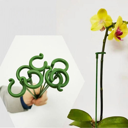 [🎉Summer Sale]  Upgrade Fiberglass Plant Support Stake