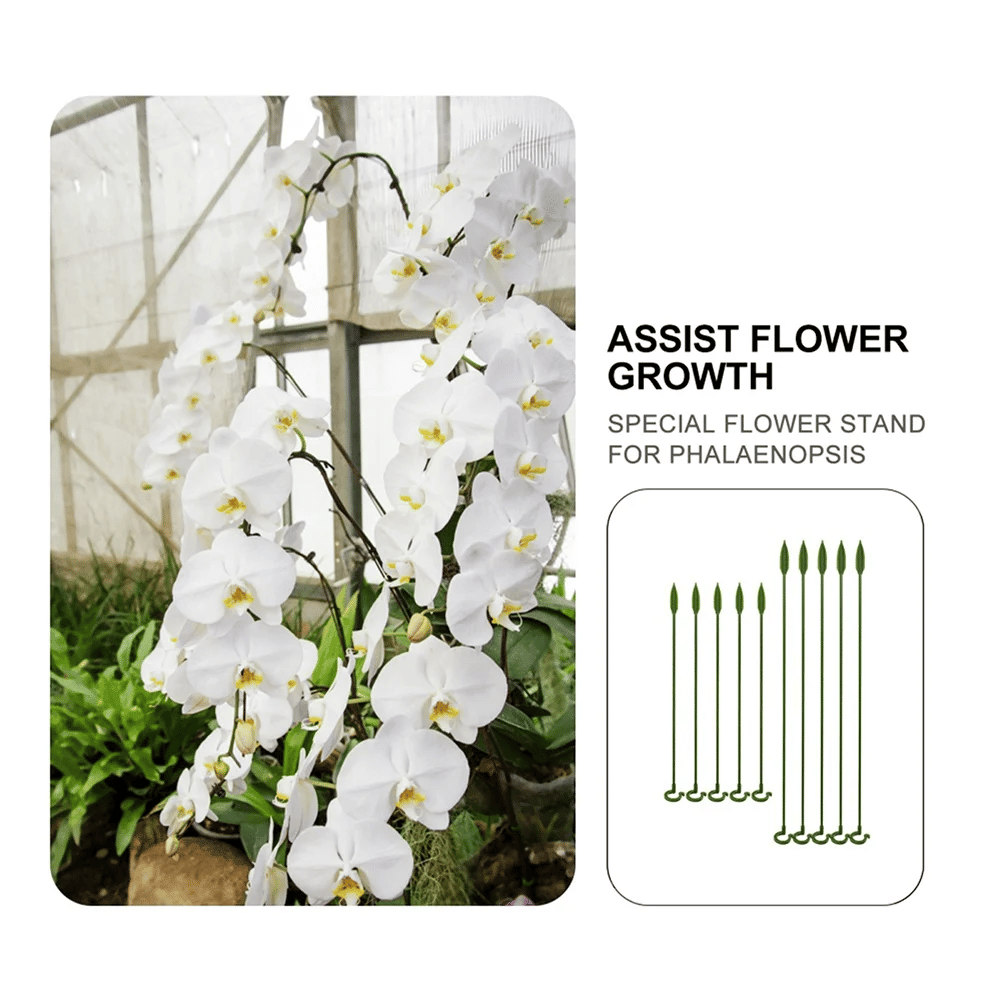 [🎉Summer Sale]  Upgrade Fiberglass Plant Support Stake