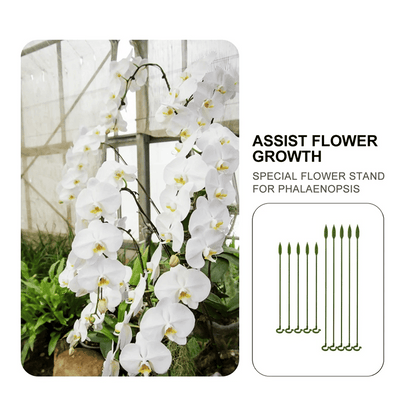 [🎉Summer Sale]  Upgrade Fiberglass Plant Support Stake