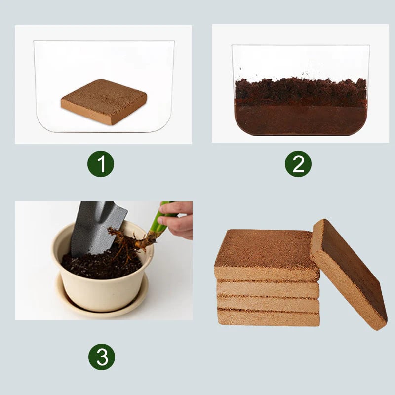 BUY 1 GET 1 FREE✨ - Organic Coconut Coir for Plants