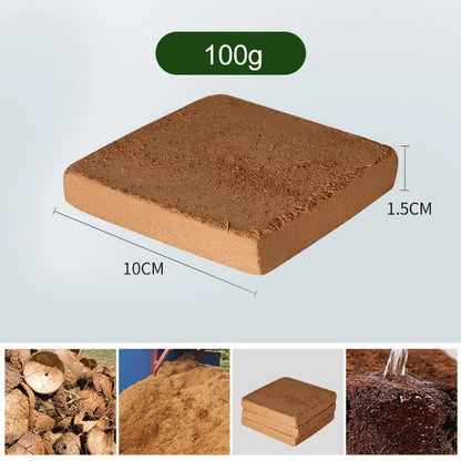 BUY 1 GET 1 FREE✨ - Organic Coconut Coir for Plants